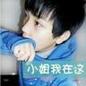 宠物知识查询都有什么